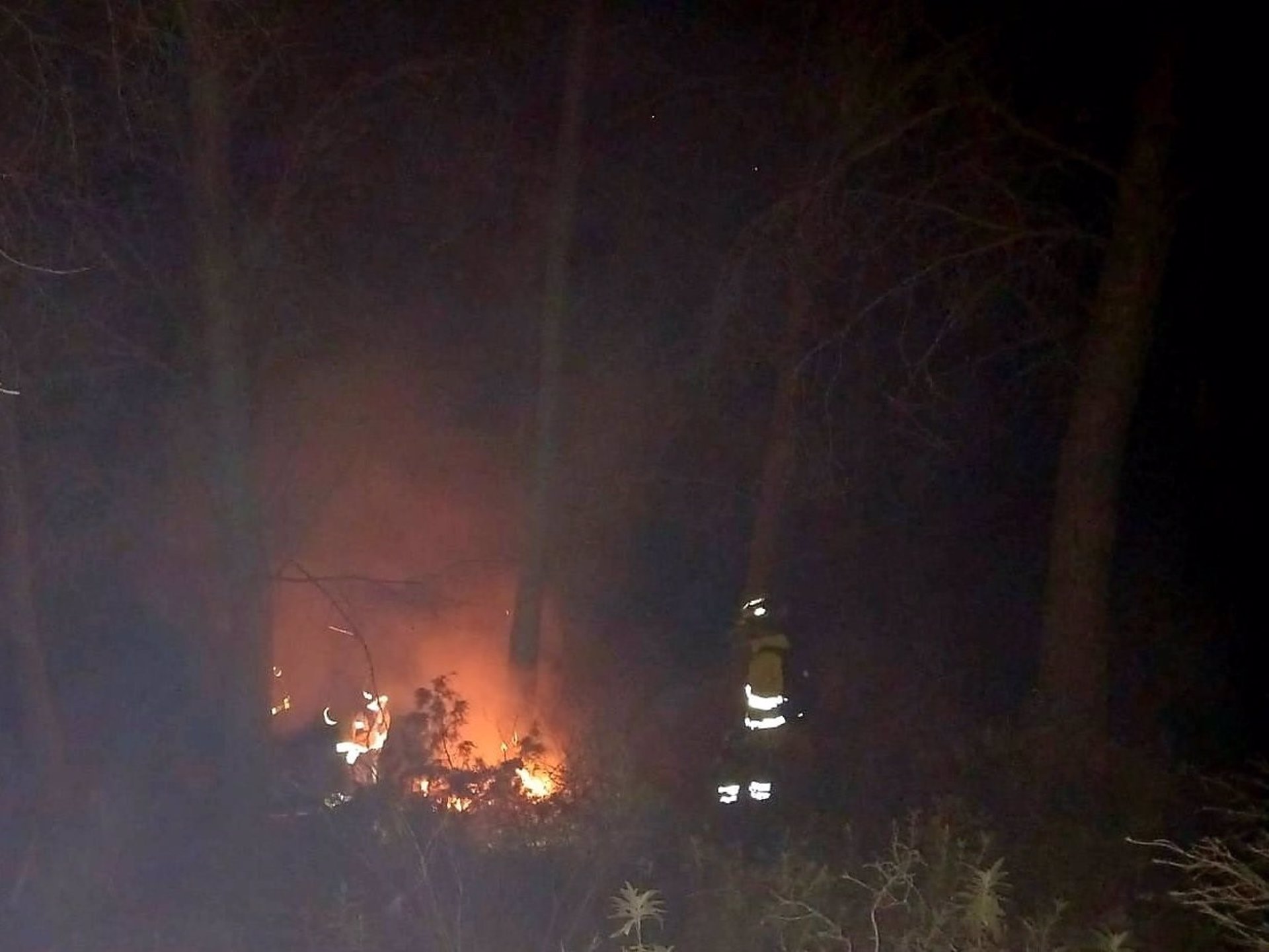 Controlado un incendio forestal en Alcaucín