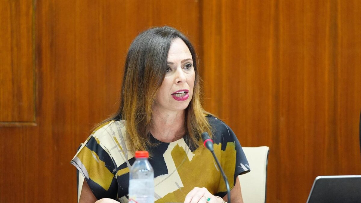 Díaz resalta "la transformación de la movilidad" que traerá el desdoble del acceso a Alhaurín de la Torre