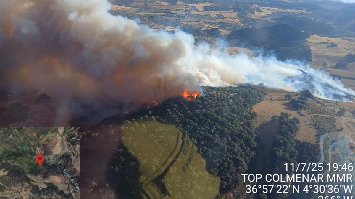 Desplegados diez de medios aéreos para sofocar un incendio declarado en Villanueva de la Concepción