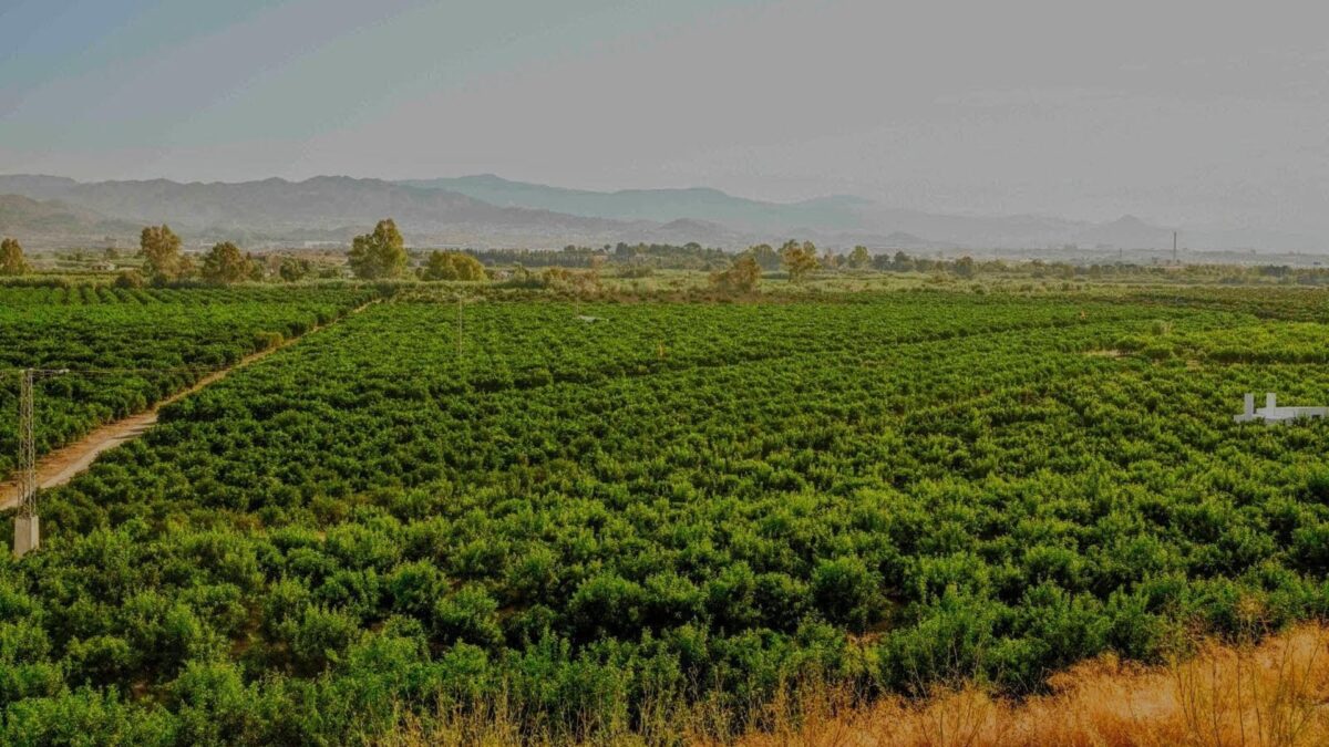 Ecologistas en Acción reclama la urgencia de resolver la construcción definitiva de la EDAR Málaga Norte