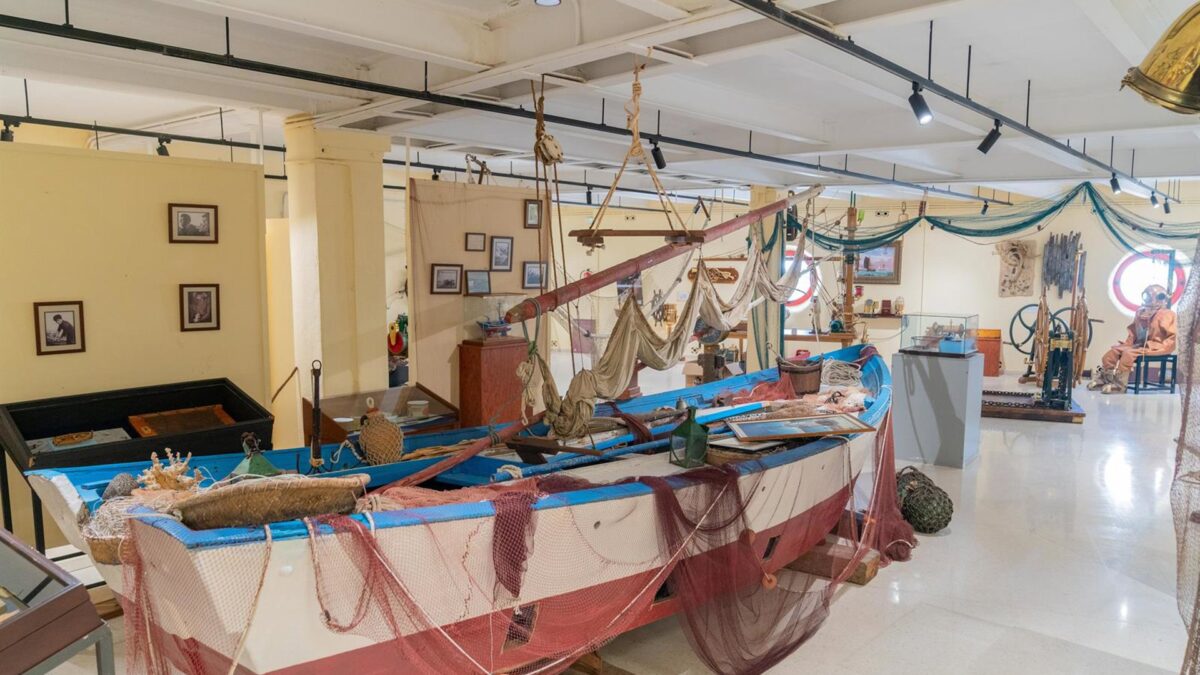 Estepona recreará una pradera marina de posidonias en el Museo Etnográfico de la ciudad