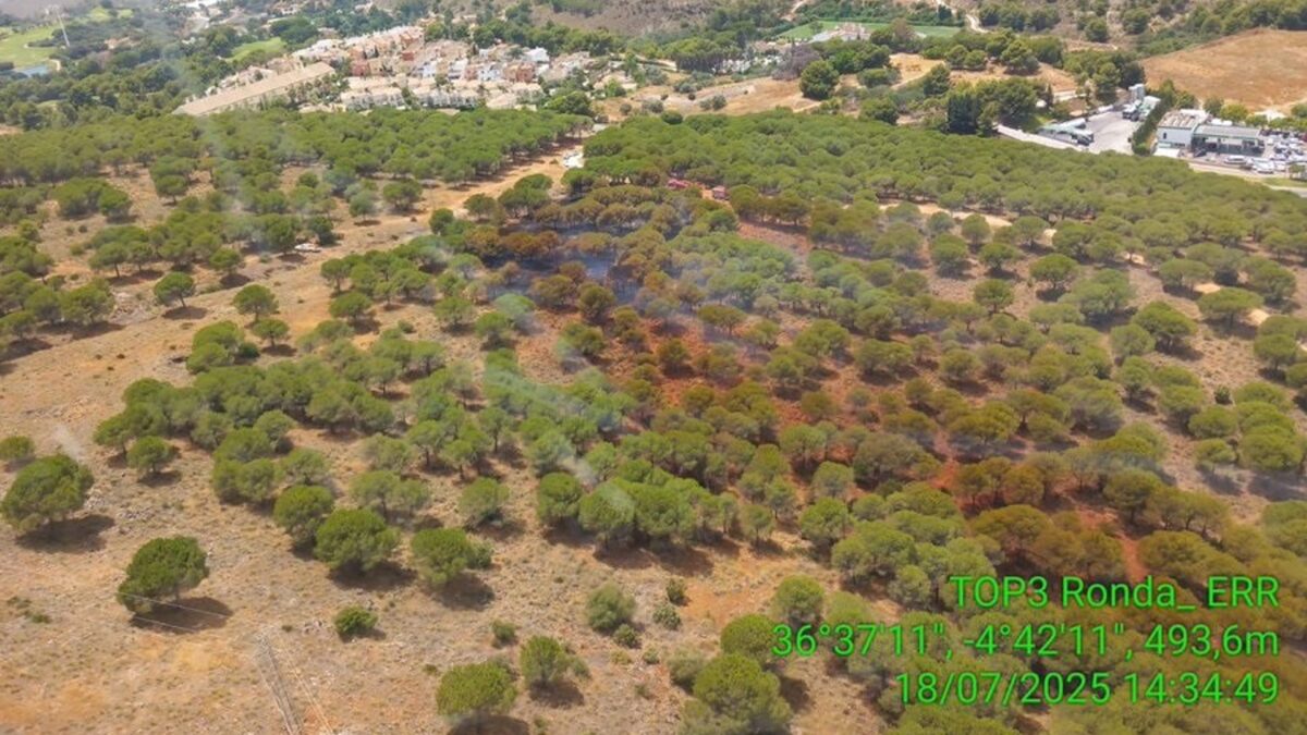 Extinguido el incendio forestal declarado en el paraje de Fuente del Acebuche en Alhaurín el Grande