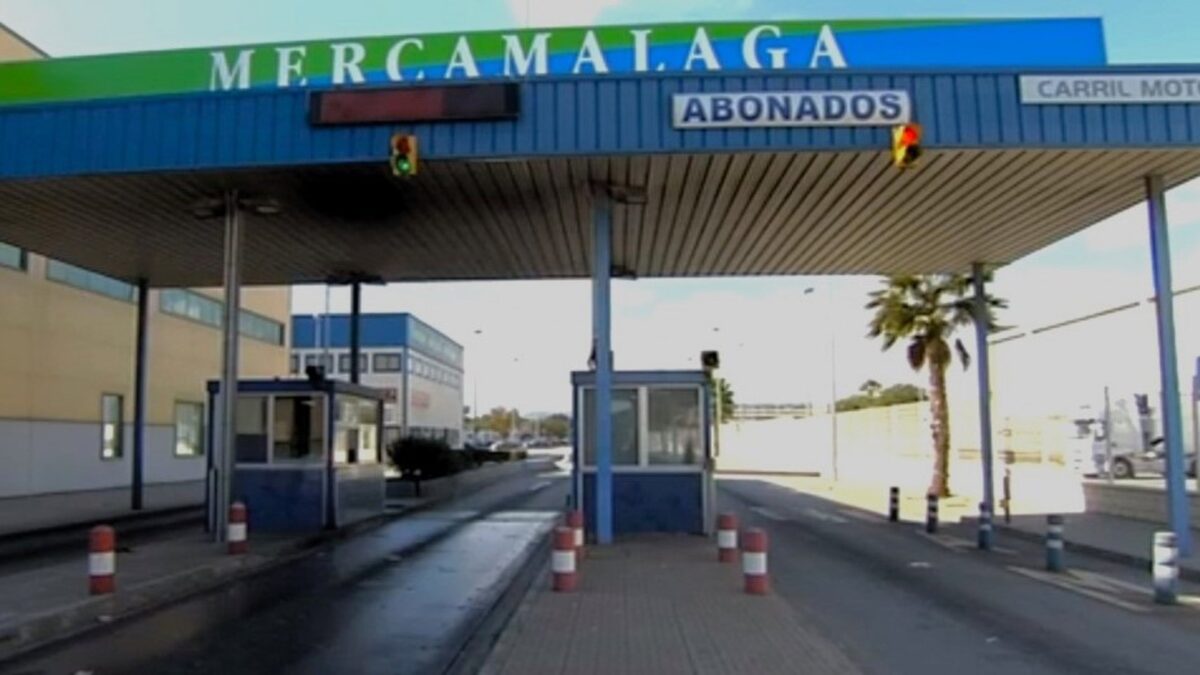 Mercamálaga supera las 150.000 toneladas de mercancías en el primer semestre