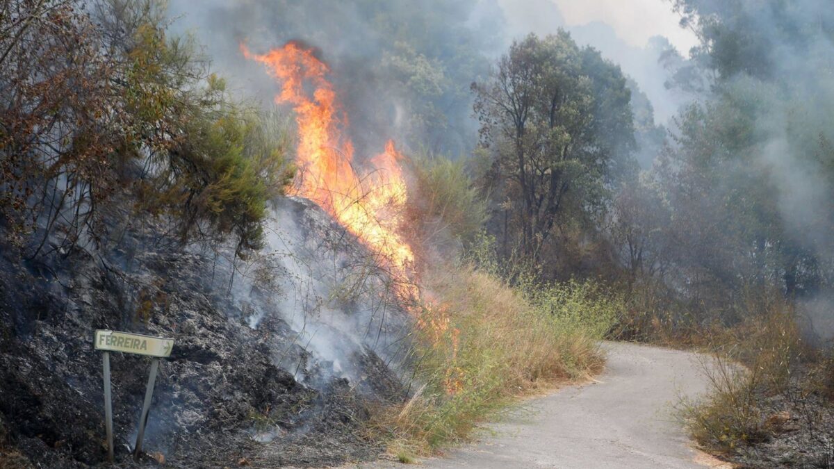 La Cátedra de Seguridad, Emergencias y Catástrofes de UMA coordina un mapa interactivo de incendios forestales