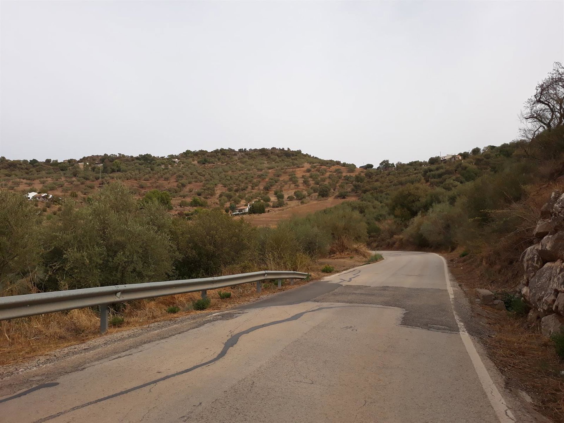 La Diputación licita por casi 1,5 millones de euros el arreglo de la carretera entre Benamargosa y Riogordo
