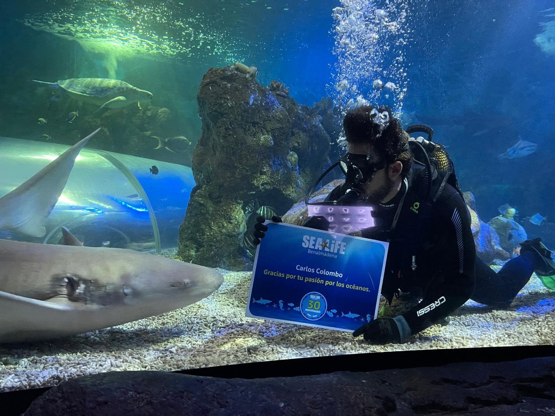 Sea Life Benalmádena, que celebra su 30 aniversario, suma más de seis millones de visitantes