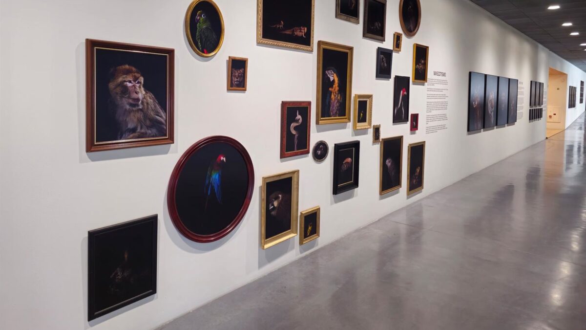 El Centre Pompidou inaugura la novena edición de Hors Pistes con la exposición 'El sueño animal'