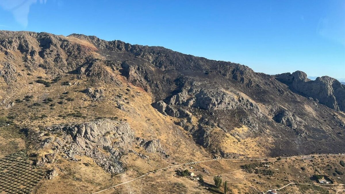 Estabilizado el incendio forestal en la zona de Boquete de Zafarraya, en Alcaucín