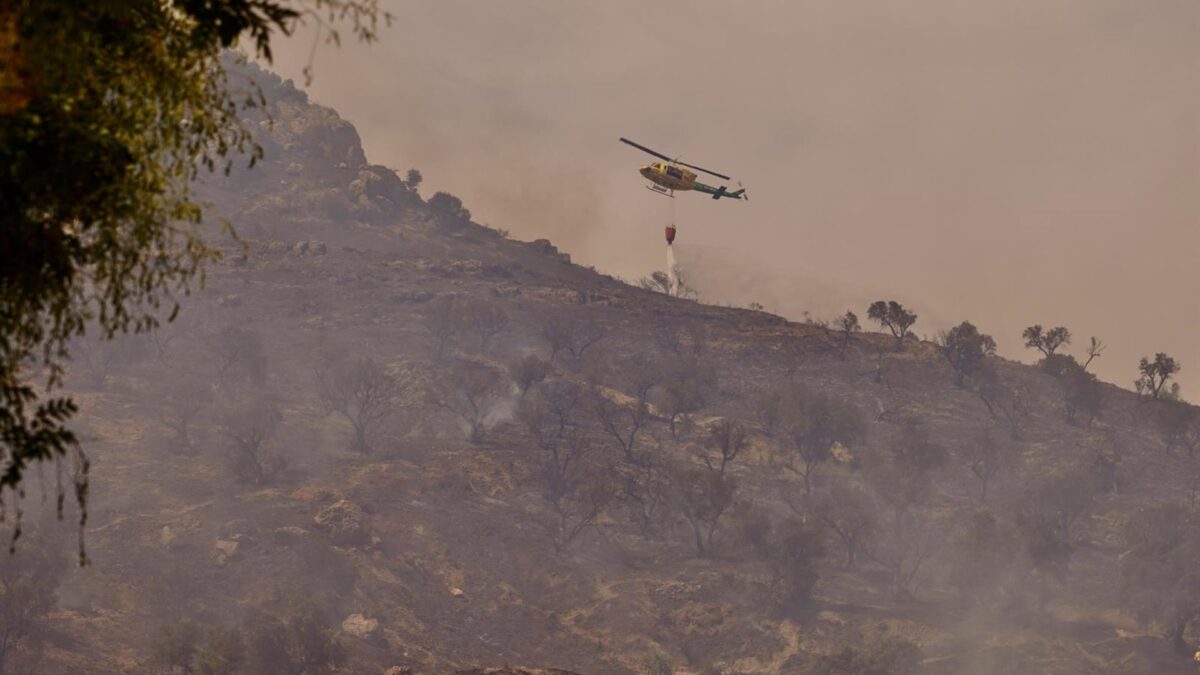 Estabilizado el incendio forestal que afecta a Monte Coronado, en Málaga capital