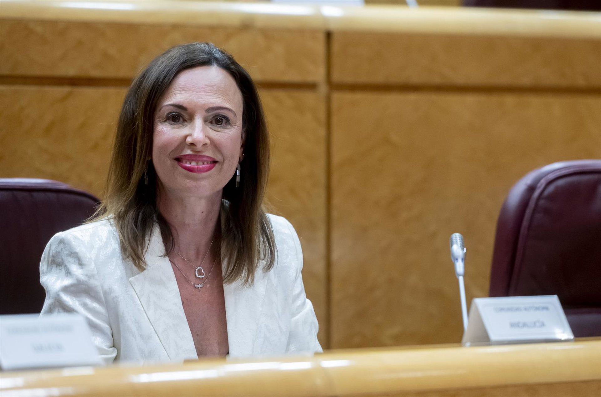 Junta critica que el Gobierno ha constatado en la Mesa de Movilidad "una nula voluntad de avanzar"