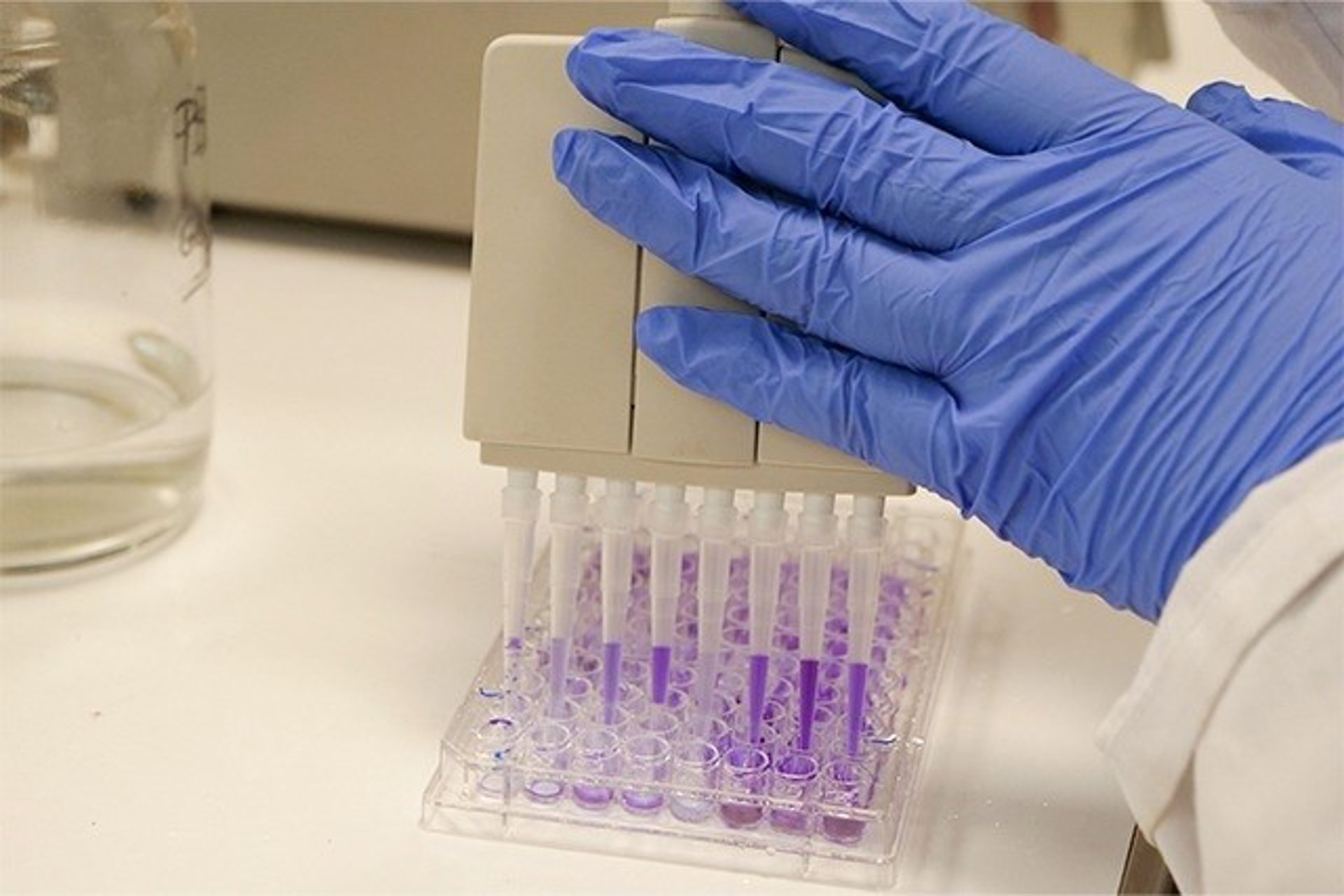 La UMA consigue más de 3,1 millones de euros para el desarrollo de proyectos de investigación aplicada