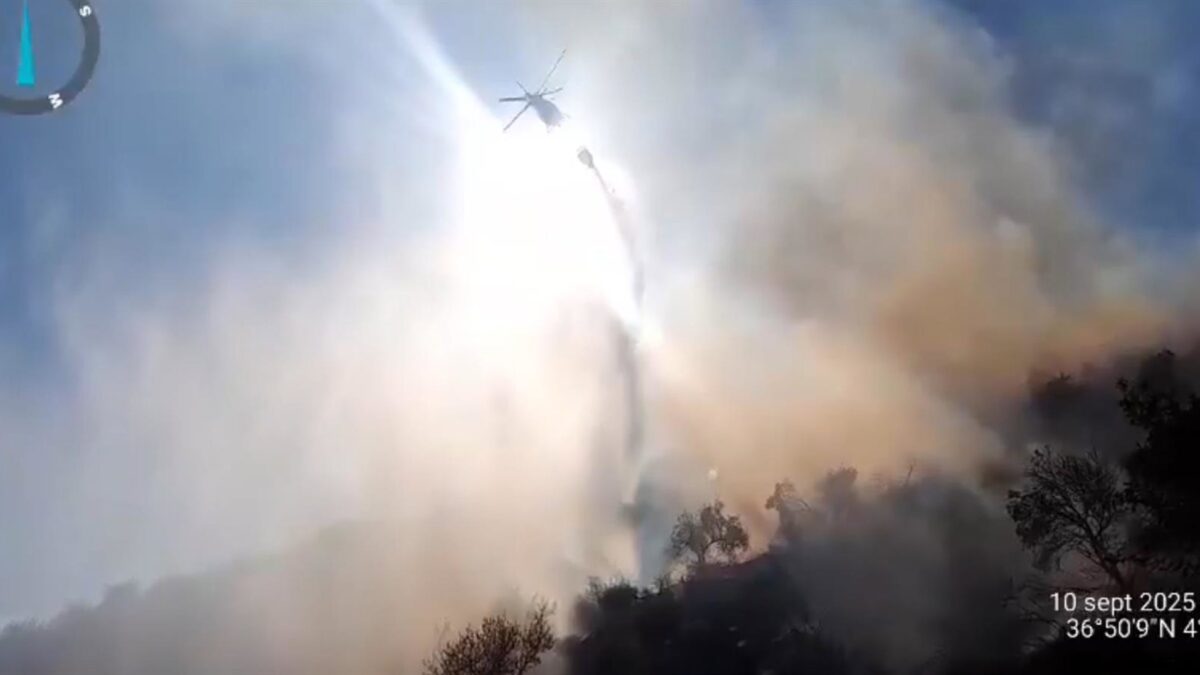 Medios del Infoca luchan contra un incendio forestal declarado en Almogía