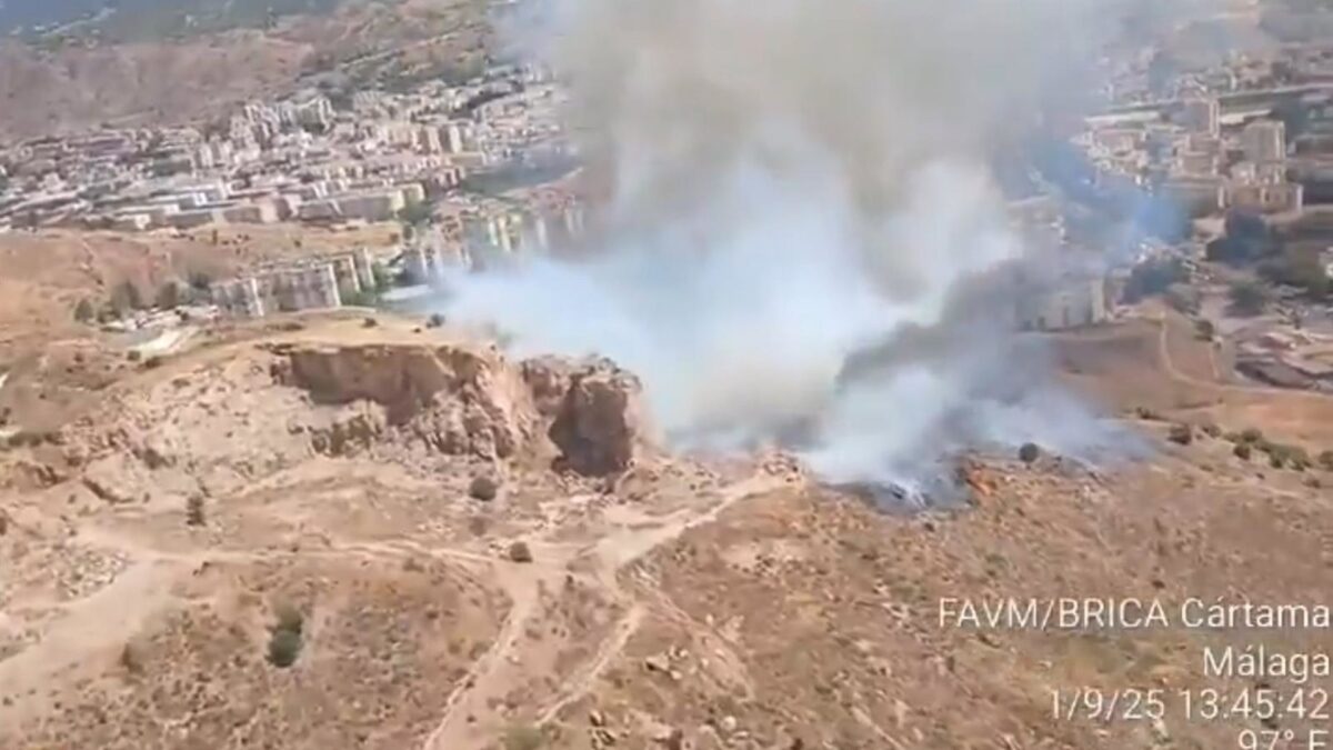 Un incendio afecta al pareja de Monte Coronado, en Málaga capital