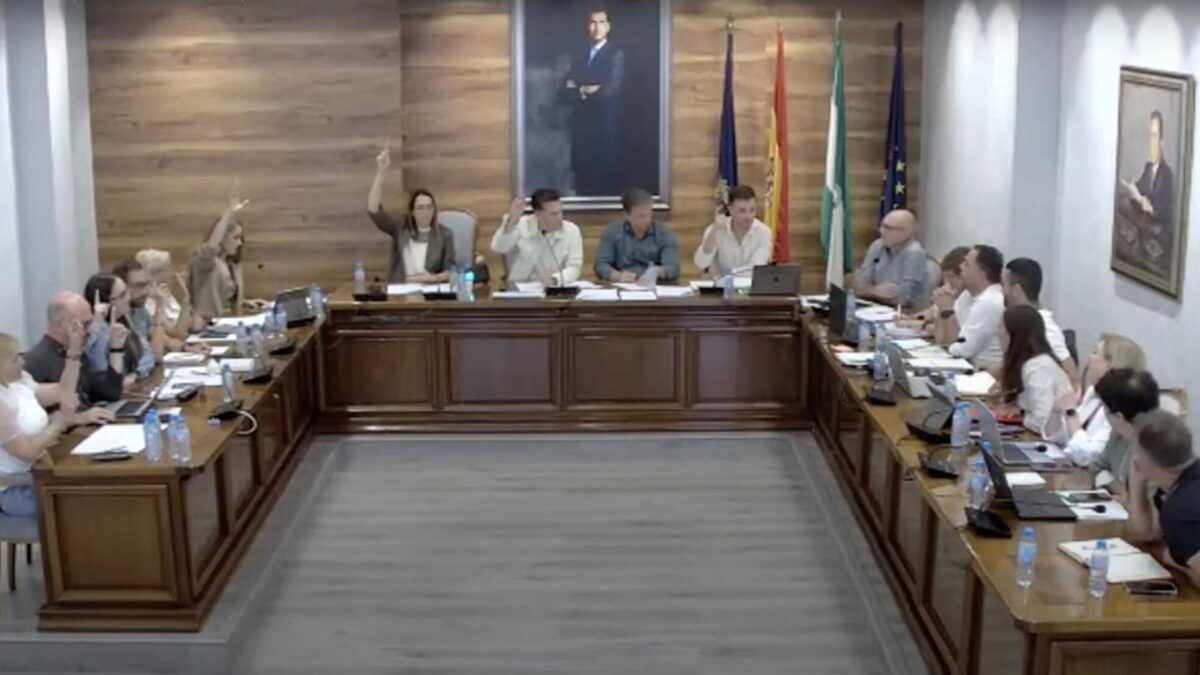 Vox dice que el PP "blanquea la inmigración ilegal" en Torrox y pide "expulsar" a los extranjeros irregulares