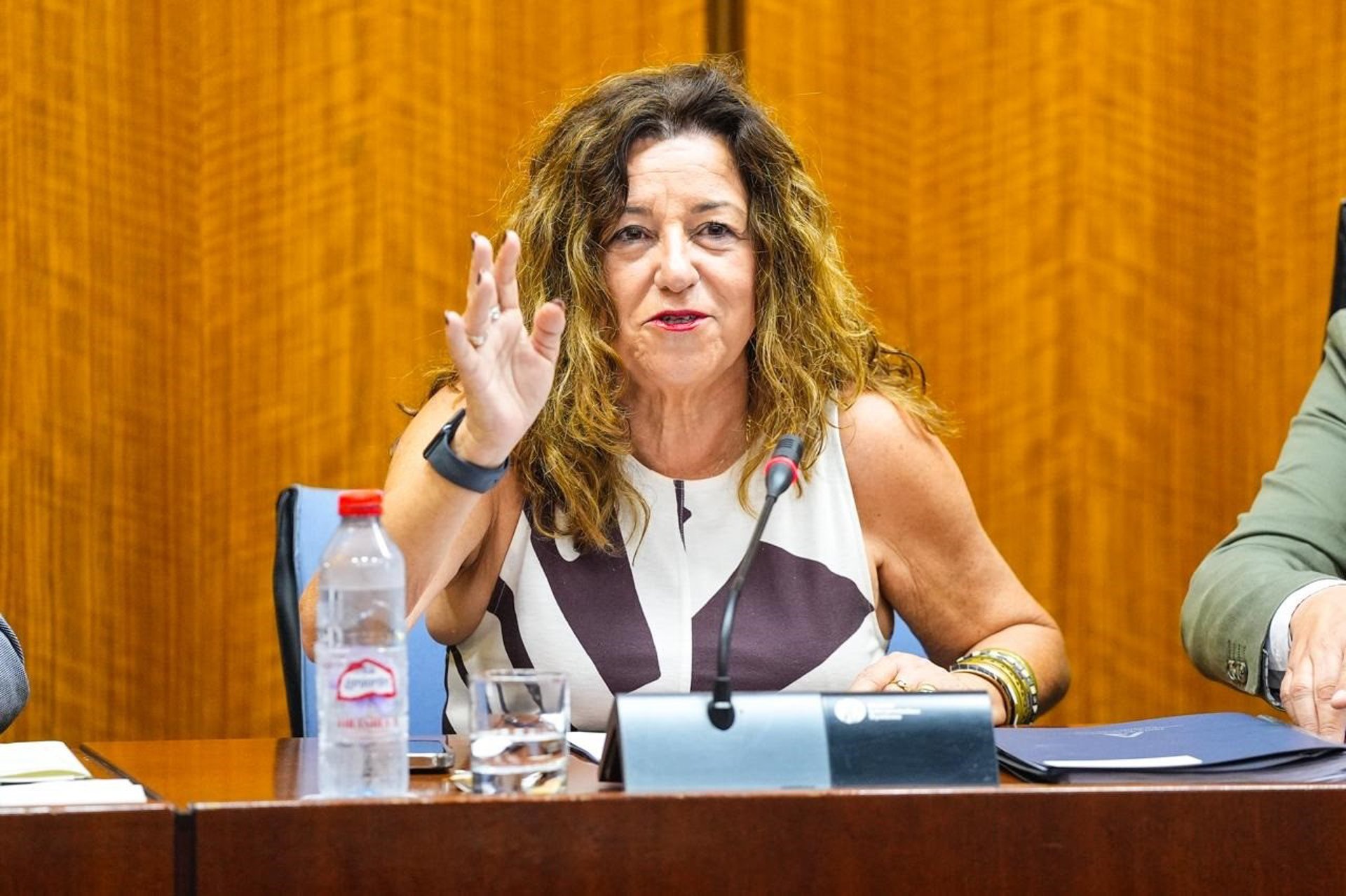 Castillo destaca 57 actuaciones en infraestructuras educativas de la provincia por 46,5 millones