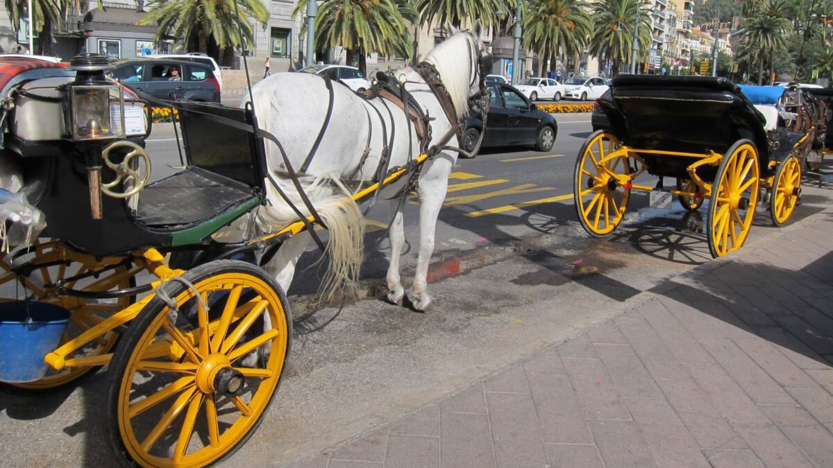 De la Torre, tras fin de coches de caballos: "Avanzamos en ir a línea de ciudad más del siglo XXI que del XIX"