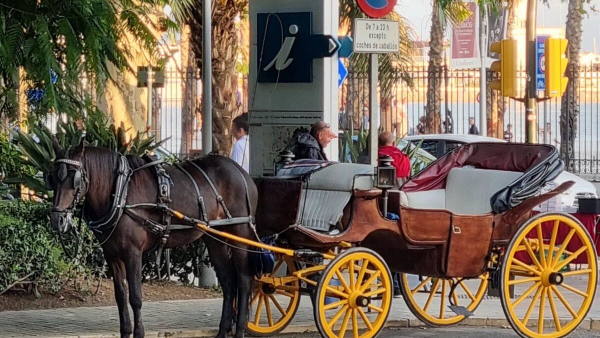 Pacma valora el fin definitivo de los coches de caballos en Málaga