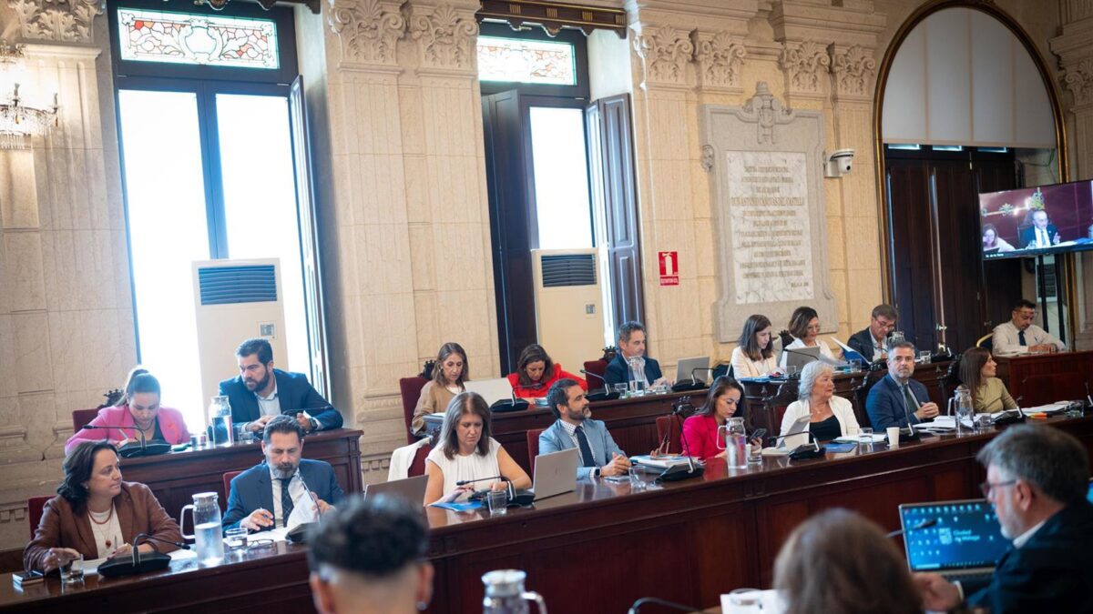 Pleno insta al Gobierno a implantar medidas "urgentes" para un "servicio público de calidad" en Cercanías
