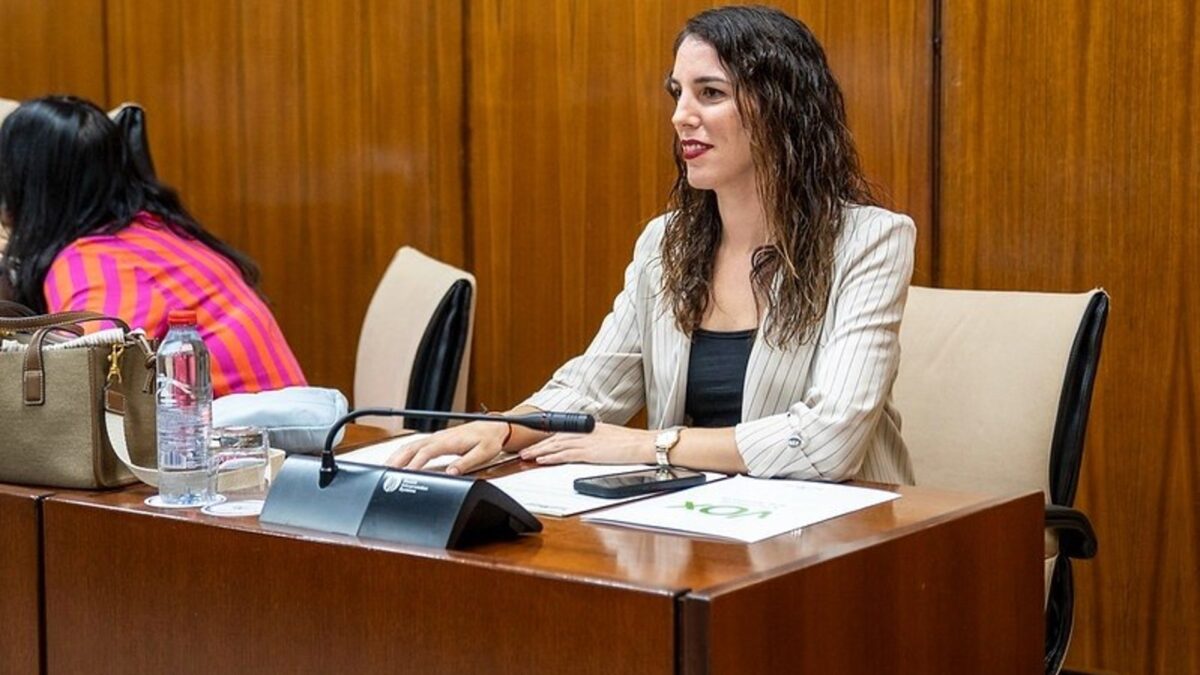 Vox urge activar "un plan serio" para acabar con la avispa asiática que "está causando estragos en Málaga"