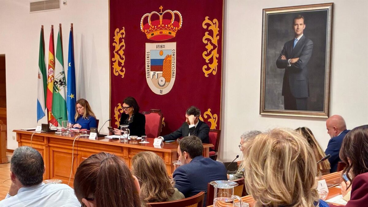 El Pleno de Torremolinos aprueba exigir al Gobierno central medidas "urgentes" para mejorar la movilidad