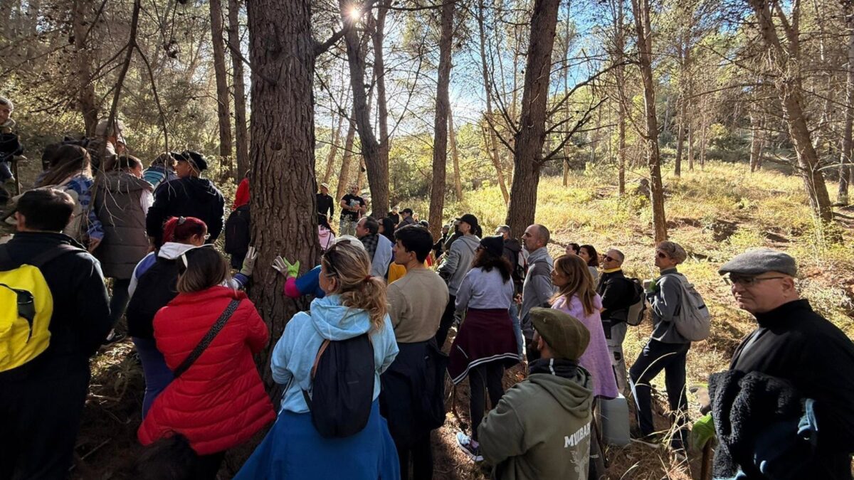 Un centenar de voluntarios plantan 140 pinsapos en el Parque Nacional Sierra de las Nieves por la Diputación