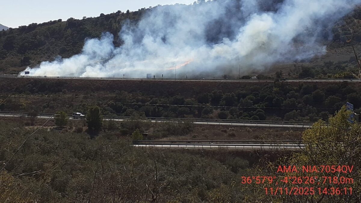 Un incendio obliga el corte de la A-45 en Antequera sentido Málaga