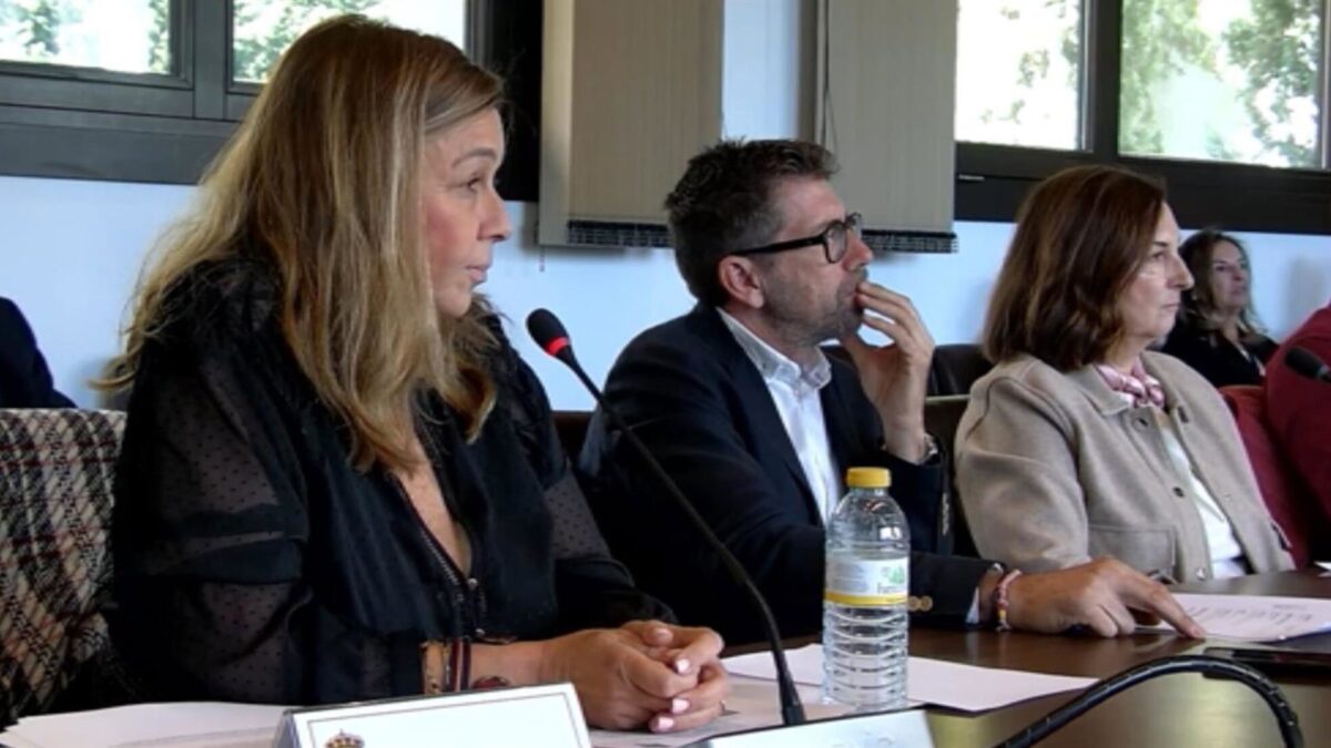 Benahavís pospone la aprobación de una ordenanza tras advertir Vox que se sustenta en un decreto derogado