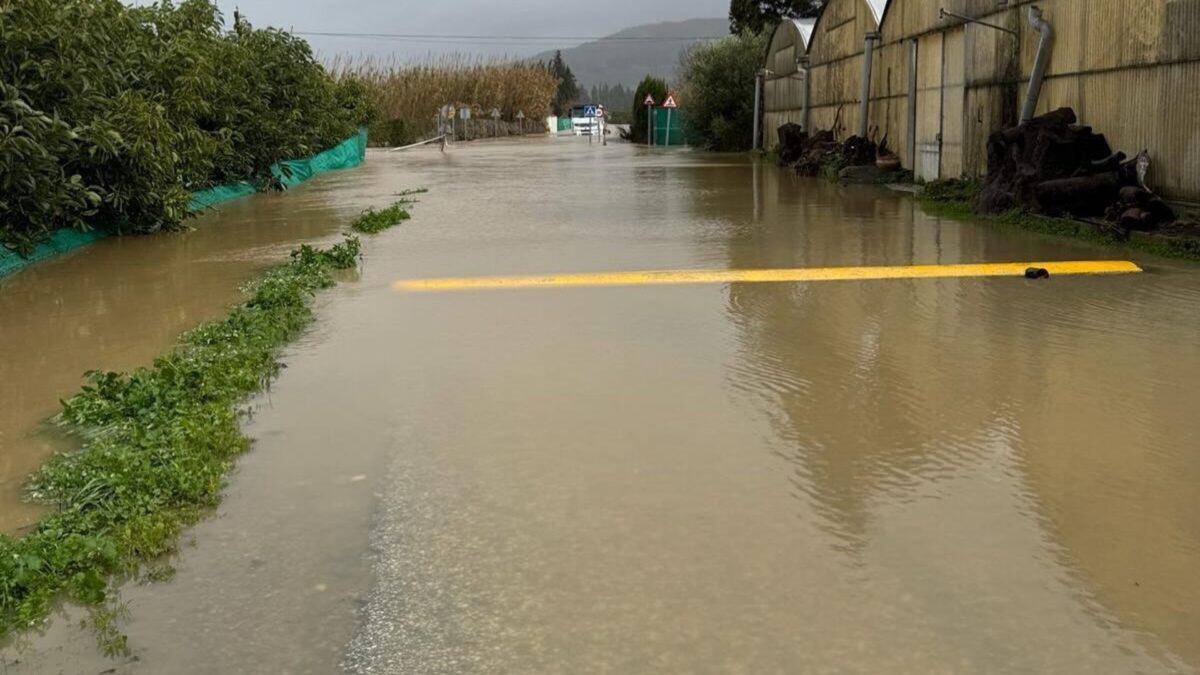 El núcleo urbano de Secadero en Casares, incomunicado por cortes de carreteras