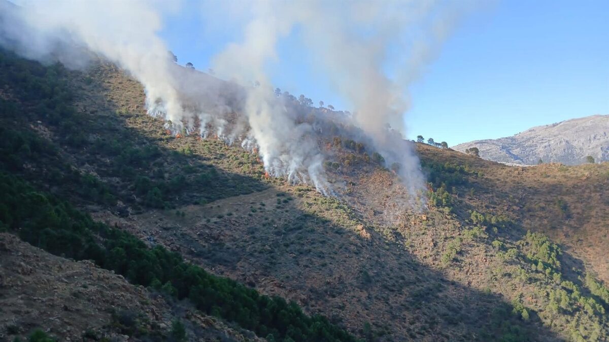 Declarado un incendio forestal en Istán