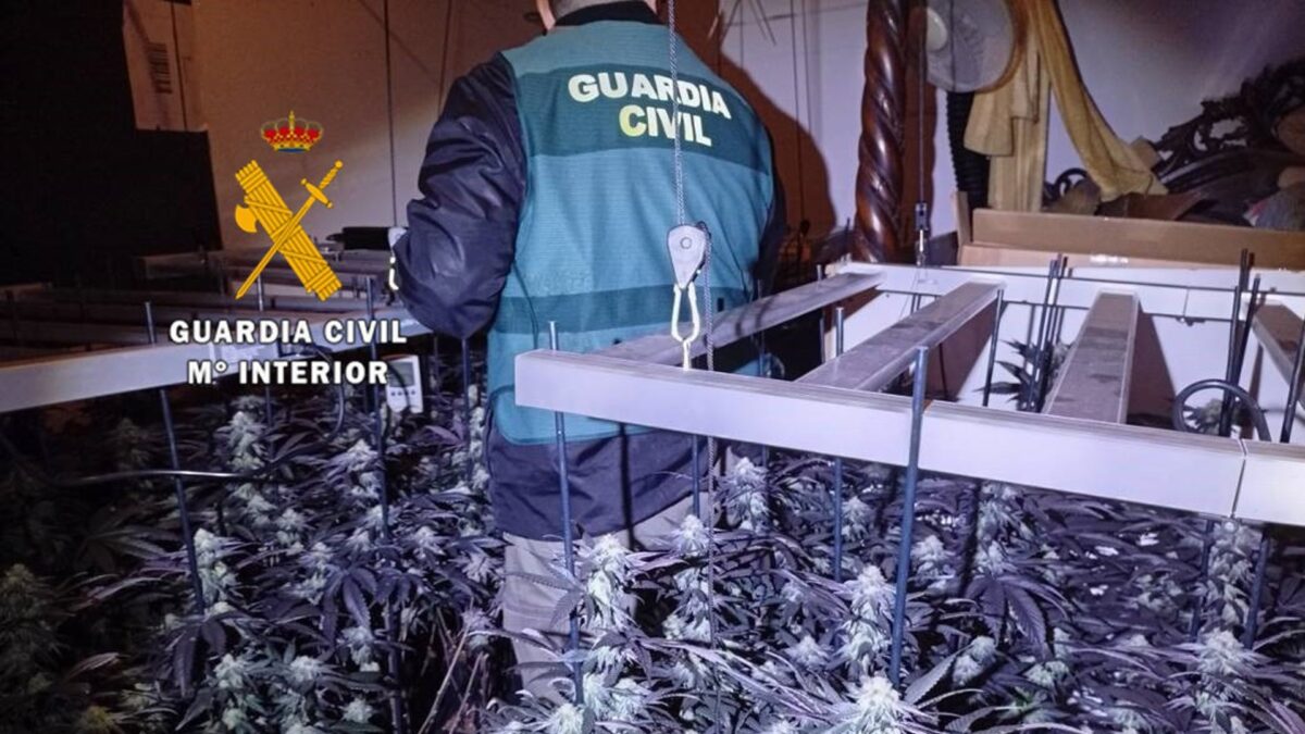 Dos detenidos tras desmantelar una plantación de cultivo de marihuana en Arenas