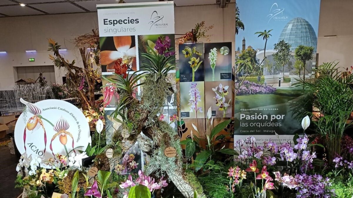El Orquidario de Estepona recibe el segundo premio en la 24 Conferencia Mundial de Orquídeas