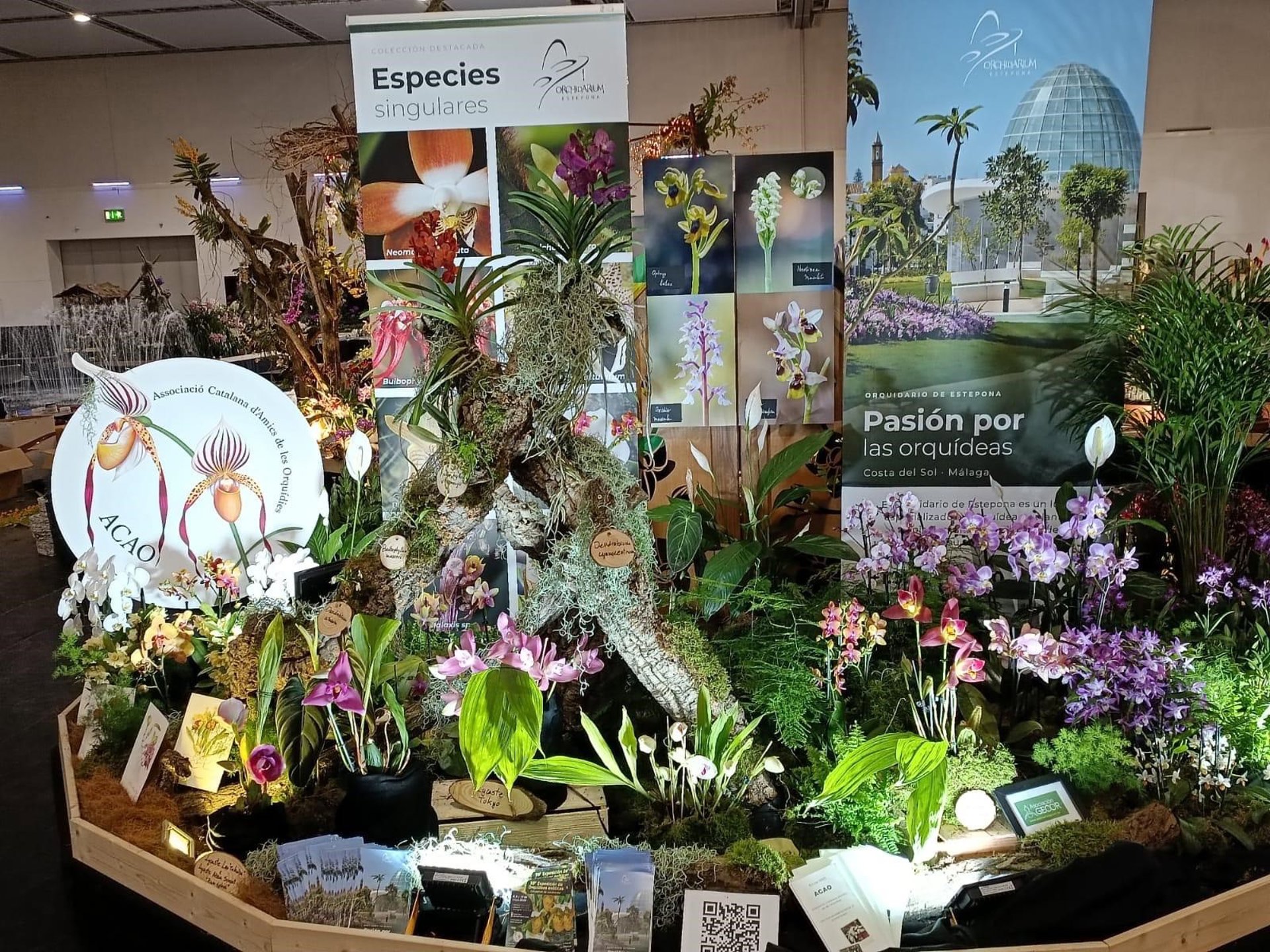 El Orquidario de Estepona recibe el segundo premio en la 24 Conferencia Mundial de Orquídeas