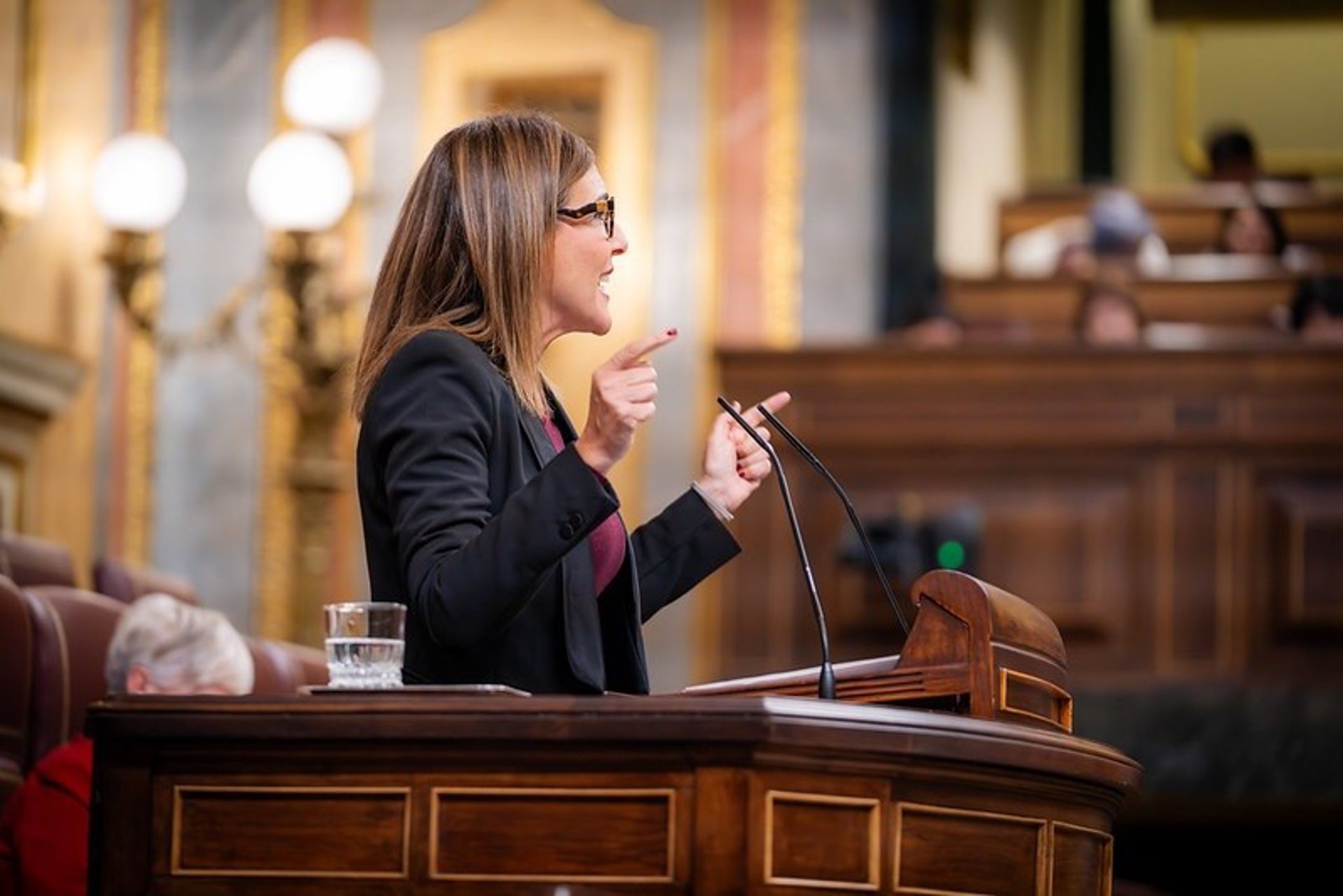 Vox lleva al Congreso "la oleada de robos en Vélez-Málaga por falta de policía"