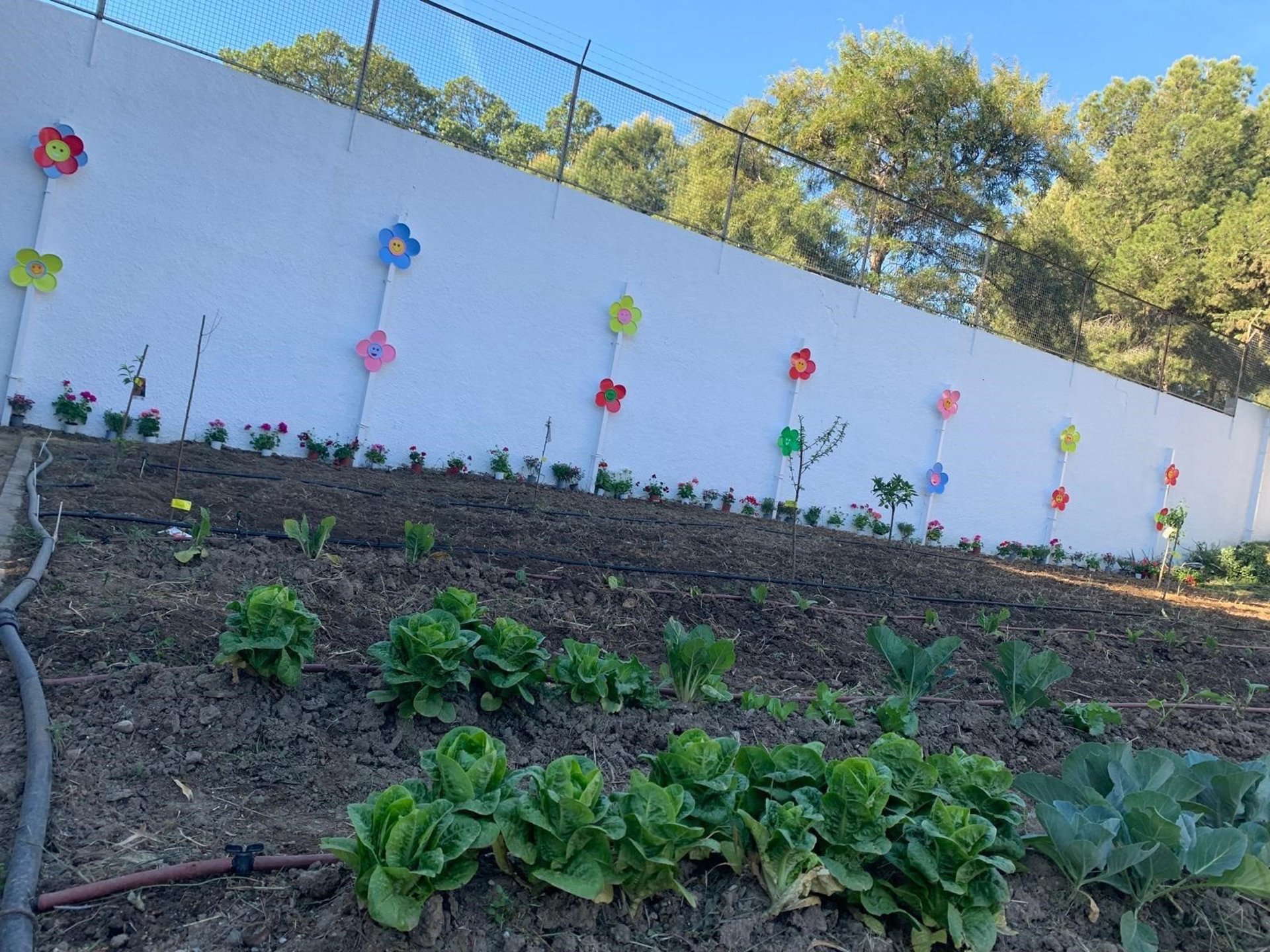 El Centro Virgen de la Esperanza de Diputación programa actividades en el nuevo huerto sensorial para usuarios