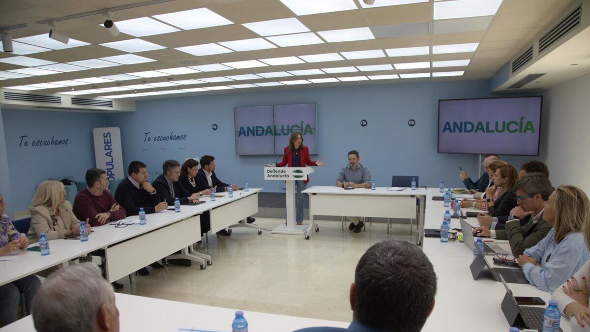 Navarro anuncia que alcaldes de PP serán jefes de campaña en cada municipio: "No hay mejores referentes"