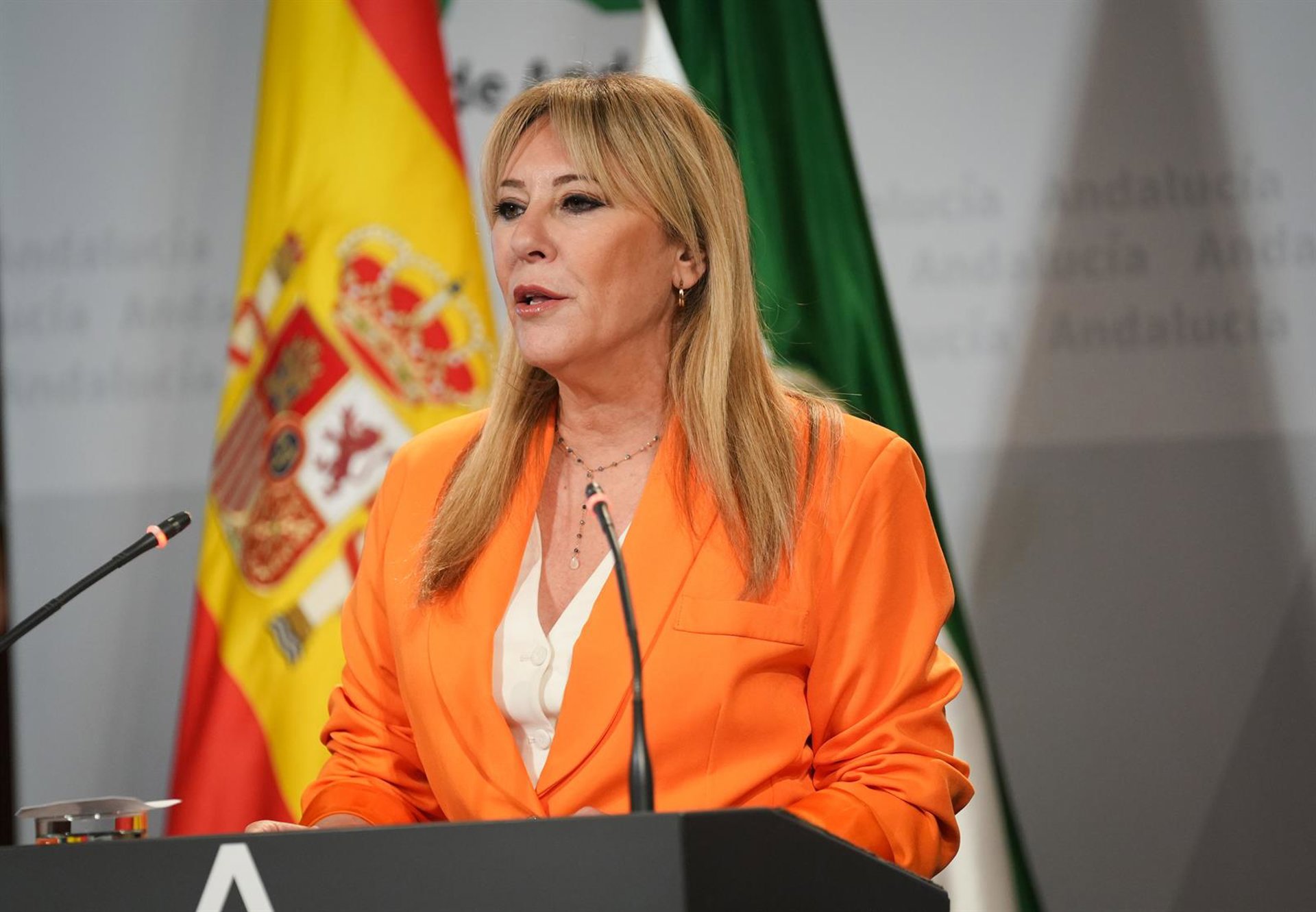 Portavoz de la Junta vincula al 17M la reanudación del AVE: Puente se ha puesto "las pilas" tras la convocatoria