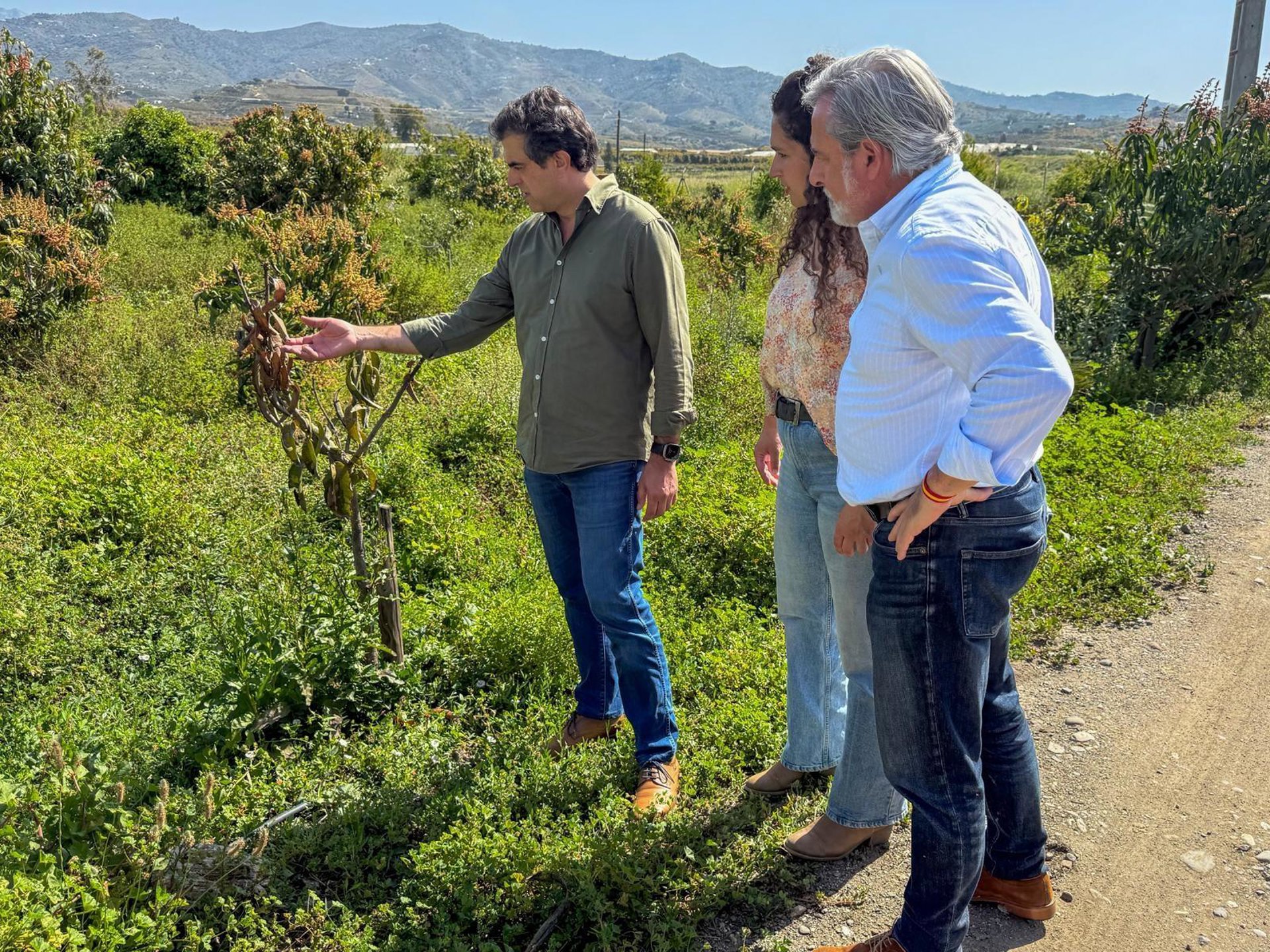Vox critica en la Axarquía que los agricultores "siguen sin agua pese a que los embalses están llenos"