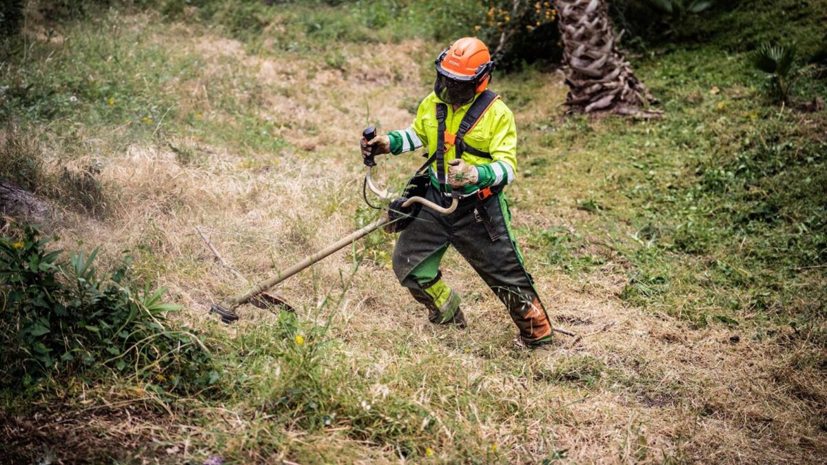 El Ayuntamiento de Málaga acomete trabajos de prevención de incendios en parques forestales y periurbanos