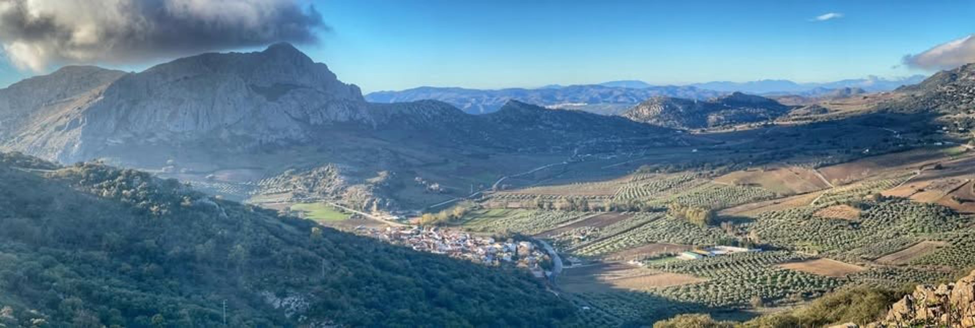 Muere en un accidente laboral el padre de un concejal de Alfarnatejo y decretan día luto