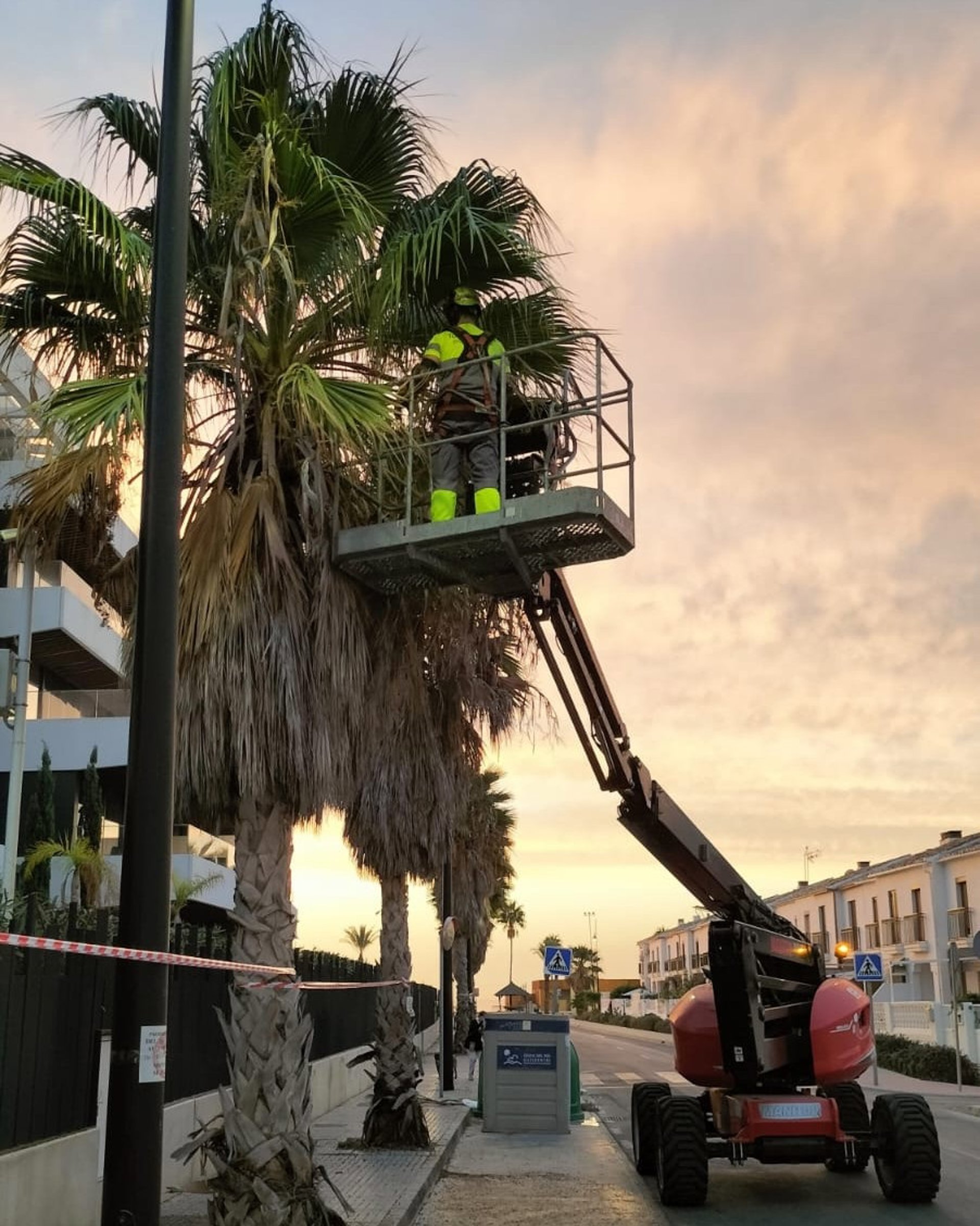 Torremolinos pone en marcha un nuevo modelo de refuerzo para mejorar el mantenimiento de las zonas verdes