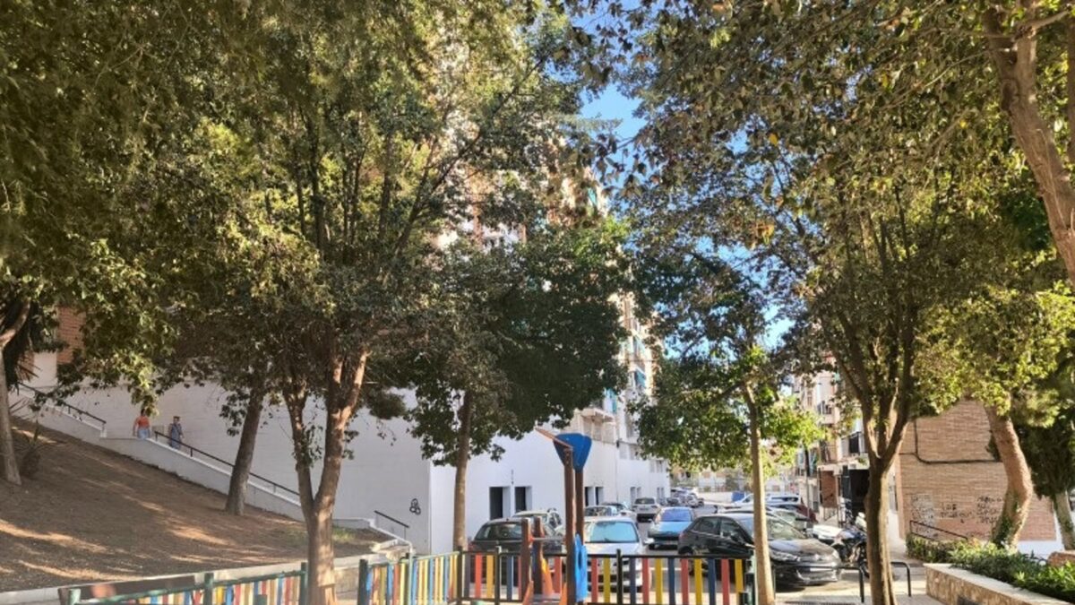 Con Málaga pide la sustitución de los "árboles pica-pica" de Alegría de la Huerta por afecciones que provocan