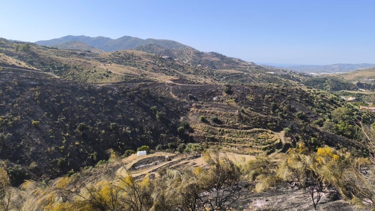 Continúan trabajos para sofocar el incendio en Canillas de Aceituno, que sigue estabilizado