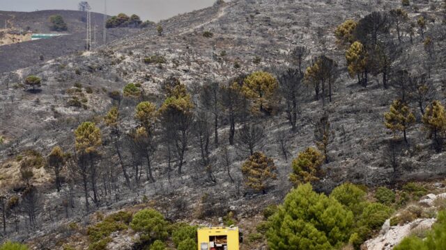 Controlado el incendio de Igualeja