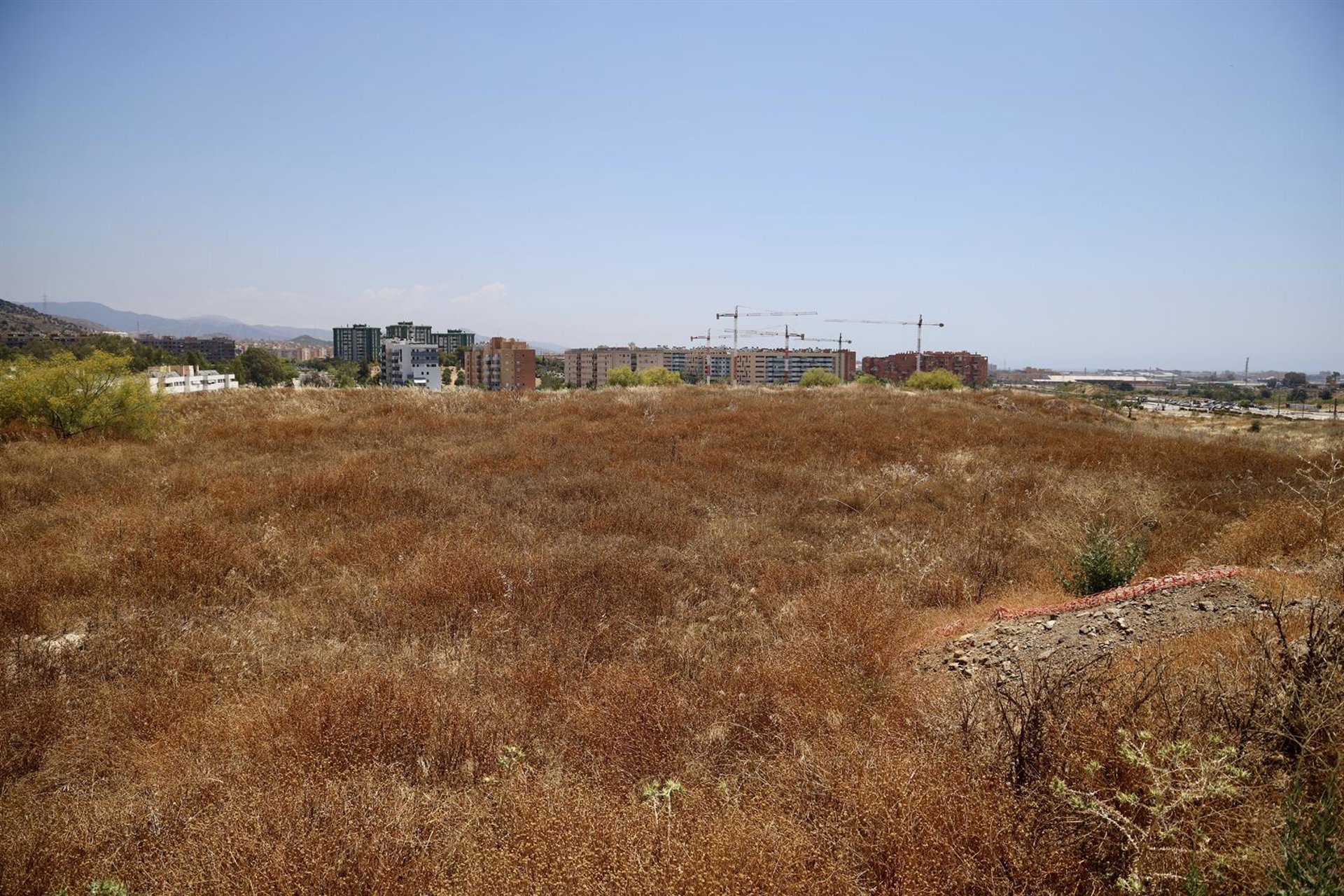 De la Torre ve "natural" y "lógico" que la Universidad evalúe la propuesta de la Nueva Rosalda