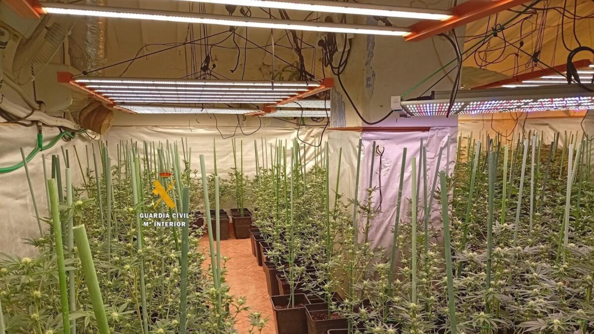 Dos detenidos tras intervenir 374 plantas de marihuana y cogollos en Benamargosa