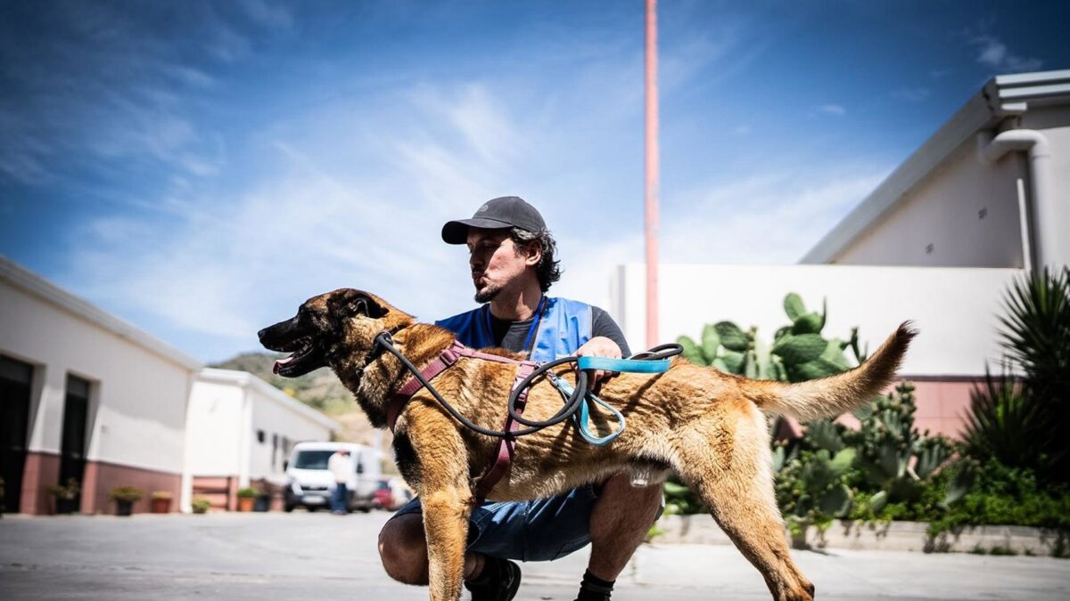 El Ayuntamiento potencia la atención de animales acogidos en el Cepam con nuevas instalaciones y más servicios