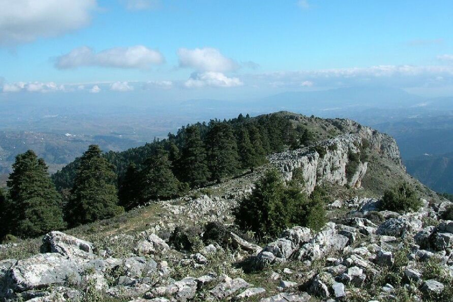 El Parque Nacional de la Sierra de las Nieves cumple un lustro erigido en referente ambiental