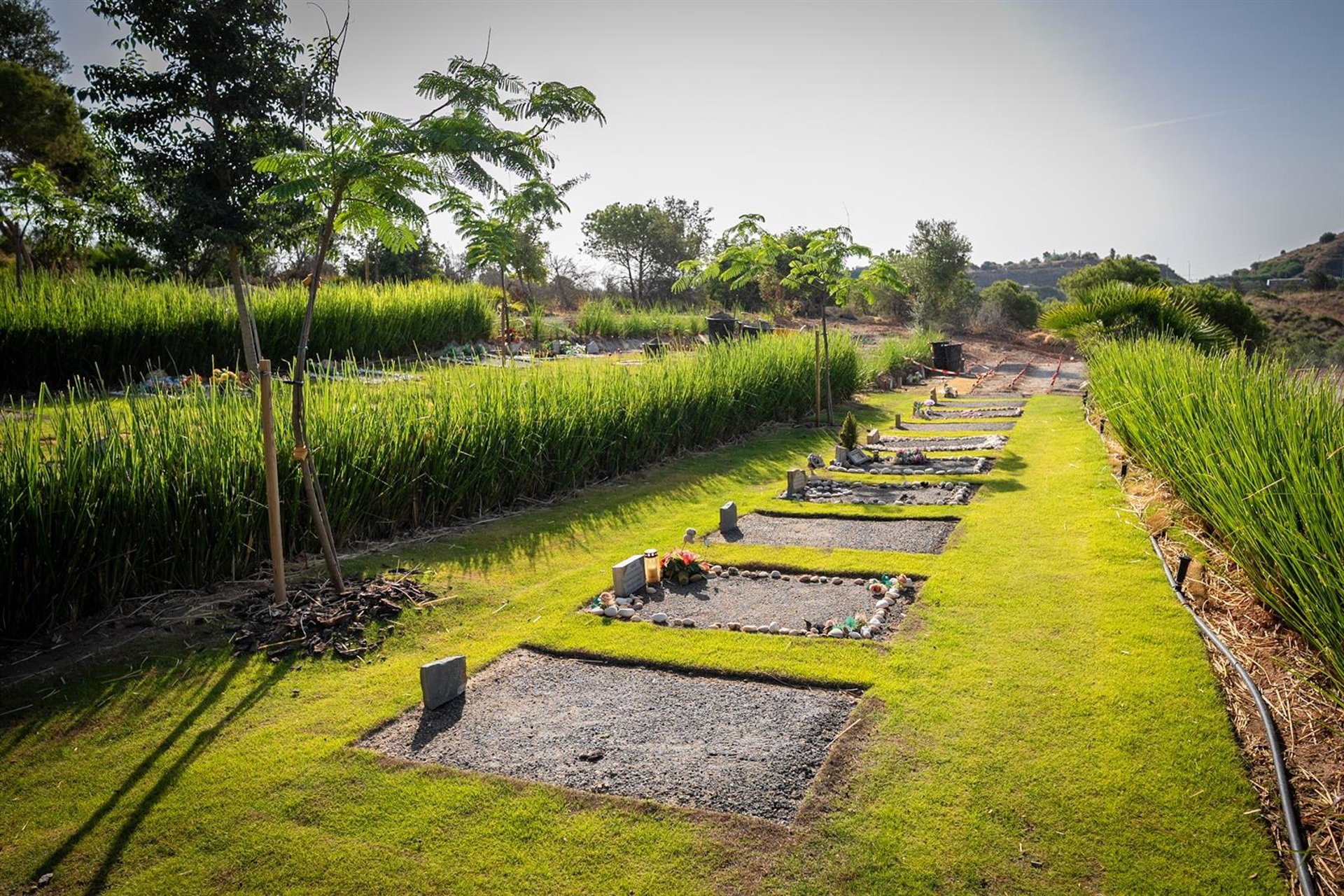 El cementerio municipal de animales de compañía cifra en 748 sus servicios en sus dos primeros años de actividad
