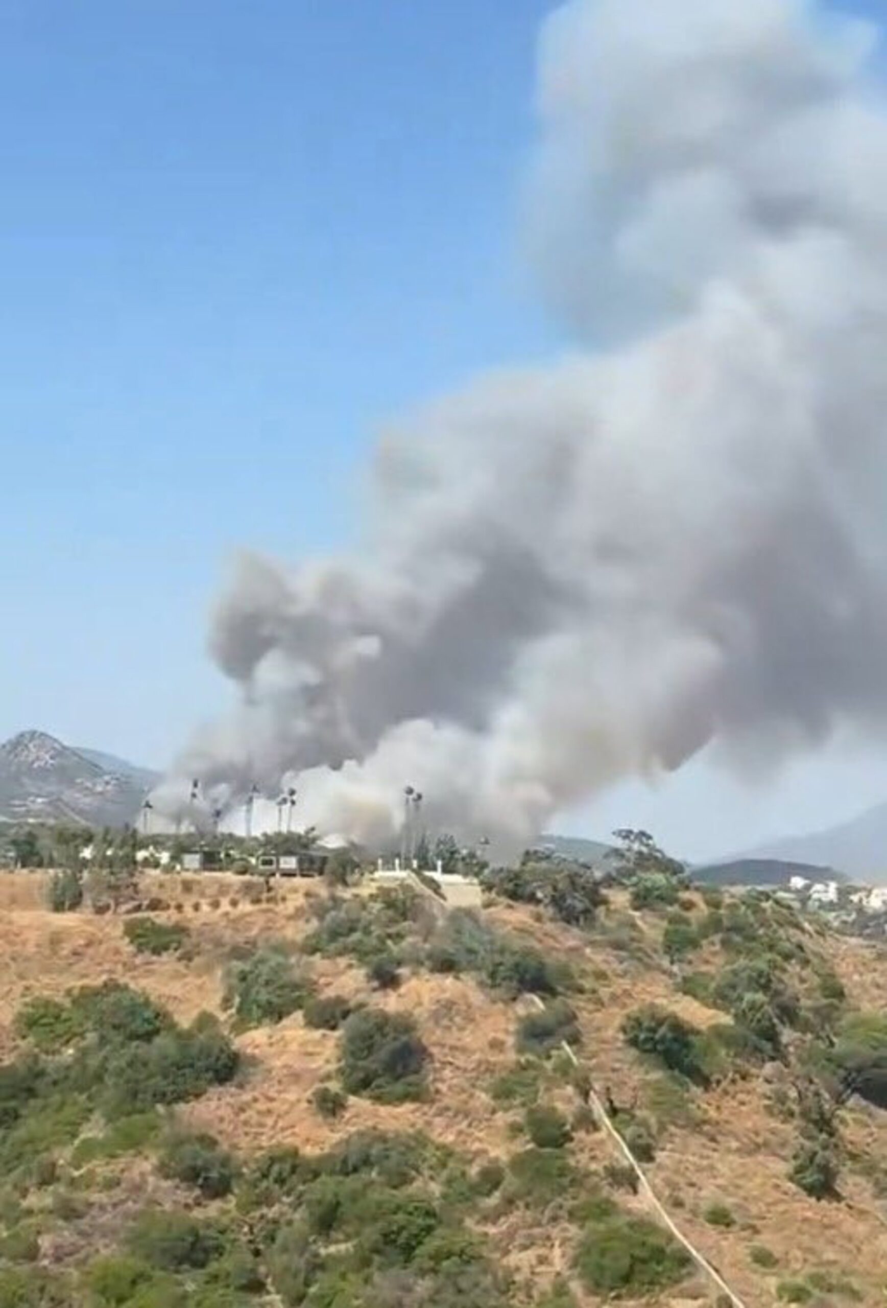 El incendio forestal en Estepona obliga al desalojo de viviendas y a activar fase emergencia 1