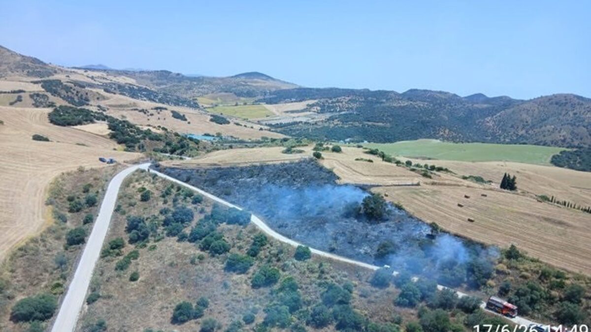 Extinguido el incendio forestal declarado en un paraje de Almogía